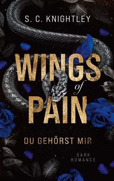 Produktbild: Wings of Pain