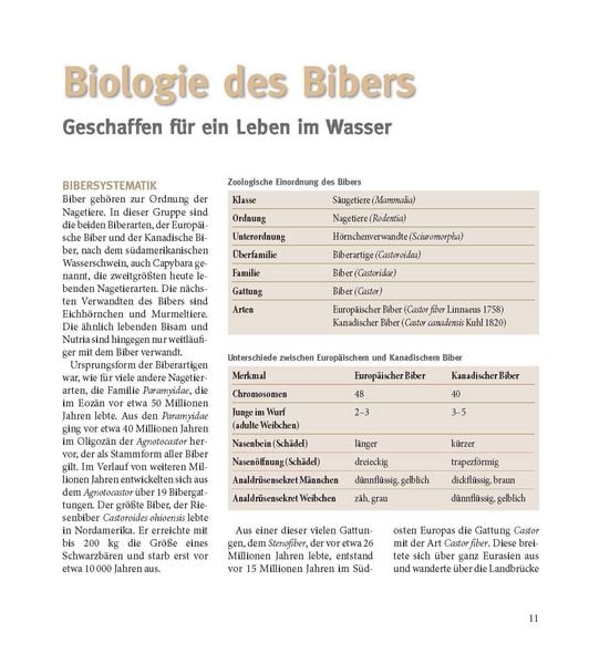 Produktbild: Der Biber