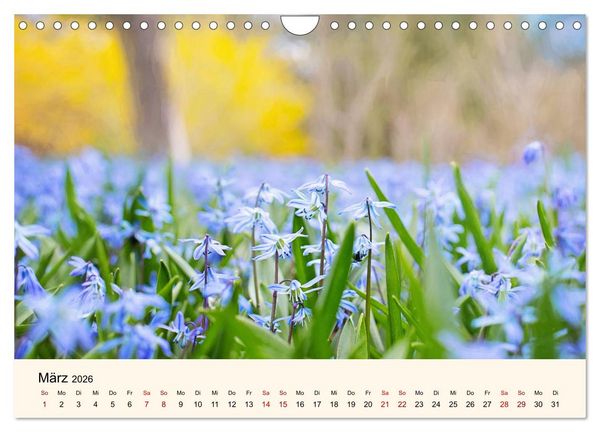 Produktbild: Die Jahreszeiten. Magie des Wandels (Wandkalender 2026 DIN A4 quer), CALVENDO Monatskalender