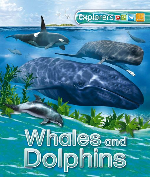 Produktbild: Explorers: Whales and Dolphins