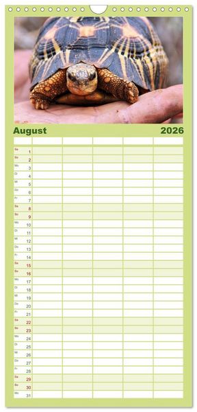 Produktbild: Familienplaner 2026 - Tiere Madagaskars mit 5 Spalten (Wandkalender, 21 x 45 cm) CALVENDO