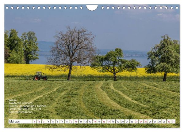 Produktbild: Mit Elfchen durch das Jahr (Wandkalender 2026 DIN A4 quer), CALVENDO Monatskalender