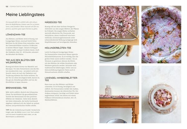 Produktbild: Die Kunst der wilden Fermentation