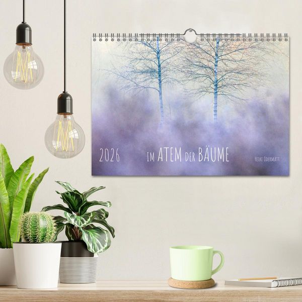 Produktbild: Im Atem der B&auml;ume (Wandkalender 2026 DIN A4 quer), CALVENDO Monatskalender