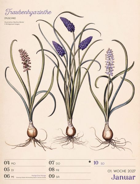 Produktbild: Ars Floralis Wochenplaner Kalender 2027