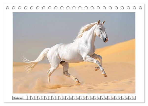 Produktbild: Bezaubernde Eleganz wei&szlig;er Pferde (Tischkalender 2026 DIN A5 quer), CALVENDO Monatskalender