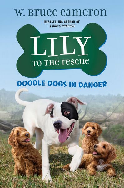 Produktbild: Lily to the Rescue: Doodle Dogs in Danger