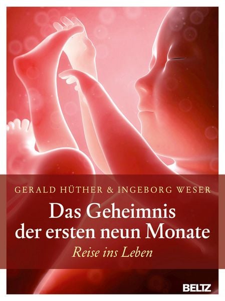 Produktbild: Das Geheimnis der ersten neun Monate