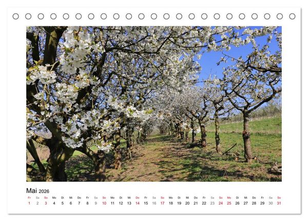 Produktbild: Kirschbl&uuml;te rund um Witzenhausen (Tischkalender 2026 DIN A5 quer), CALVENDO Monatskalender