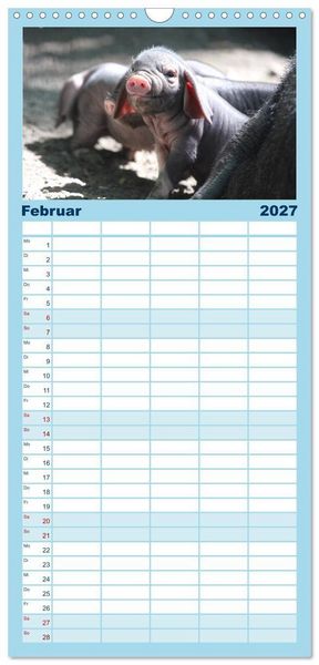 Produktbild: Familienplaner 2027 - Tierische Schweinerei mit 5 Spalten (Wandkalender, 21 x 45 cm) CALVENDO
