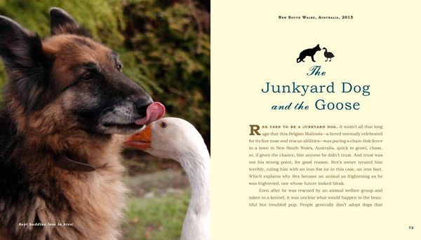 Produktbild: Unlikely Friendships: Dogs