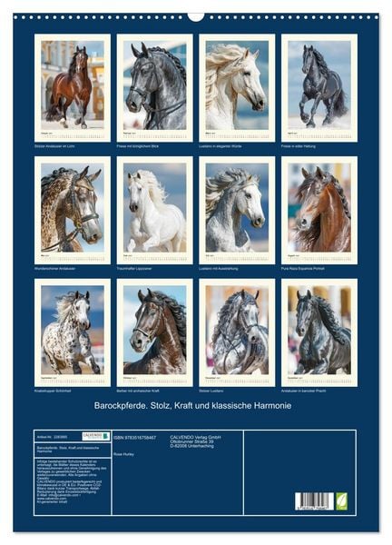 Produktbild: Barockpferde. Stolz, Kraft und klassische Harmonie (Wandkalender 2027 DIN A2 hoch), CALVENDO Monatskalender