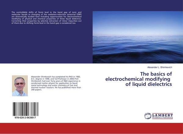 Produktbild: The basics of electrochemical modifying of liquid dielectrics