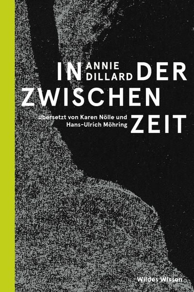 In der Zwischenzeit, Gebundene Ausgabe von Annie Dillard, Matthes & Seitz, 9783751860000