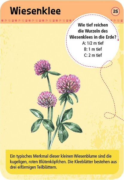 Produktbild: Expedition Natur - 50 heimische Blumen