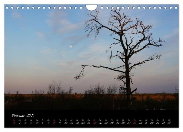 Produktbild: Im Goldenstedter Moor (Wandkalender 2026 DIN A4 quer), CALVENDO Monatskalender