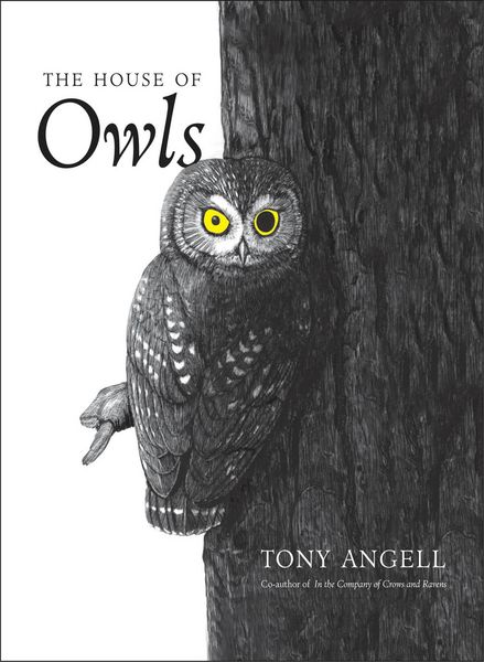 Produktbild: The House of Owls