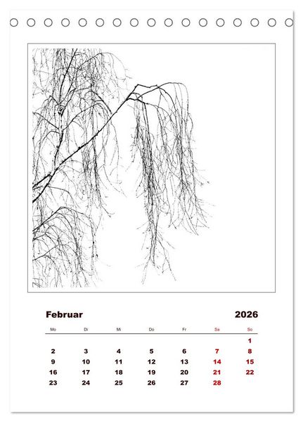 Produktbild: LignoGrafica - Muster und Strukturen der B&auml;ume (Tischkalender 2026 DIN A5 hoch), CALVENDO Monatskalender