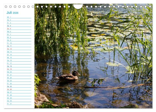 Produktbild: Urlaubsparadies Scharm&uuml;tzelsee (Wandkalender 2026 DIN A4 quer), CALVENDO Monatskalender