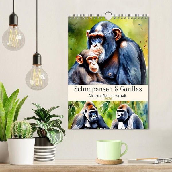 Produktbild: Schimpansen & Gorillas (Wandkalender 2026 DIN A4 hoch), CALVENDO Monatskalender