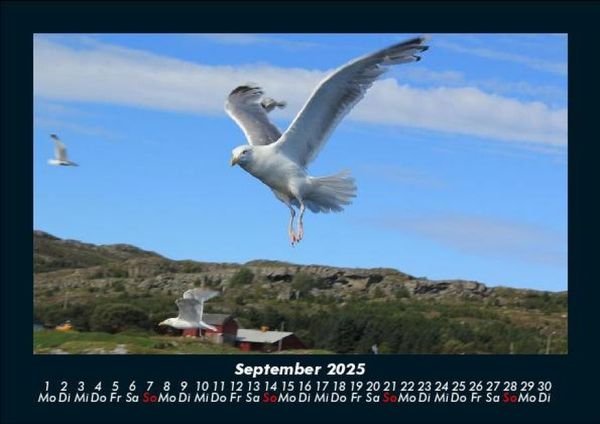 Produktbild: Nordsee 2025 Fotokalender DIN A5