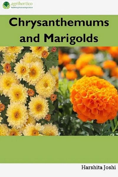 Produktbild: Chrysanthemums and Marigolds
