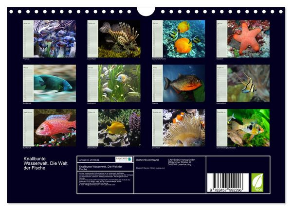 Produktbild: Knallbunte Wasserwelt. Die Welt der Fische (Wandkalender 2026 DIN A4 quer), CALVENDO Monatskalender