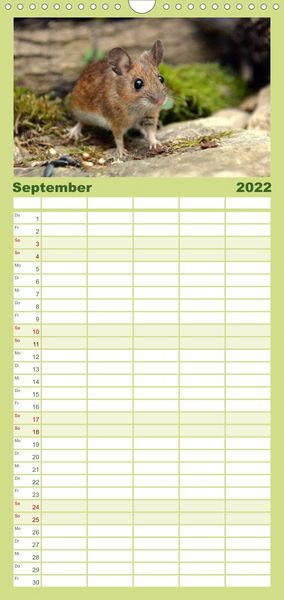 Produktbild: Familienplaner ... hier kommt die Maus ... (Wandkalender 2022 , 21 cm x 45 cm, hoch)
