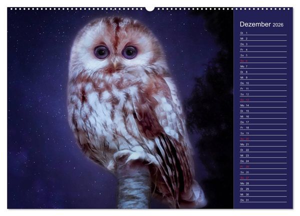 Produktbild: S&uuml;sse Tierwelt / CH-Version / Geburtstagskalender (hochwertiger Premium Wandkalender 2026 DIN A2 quer), Kunstdruck in Hochglanz