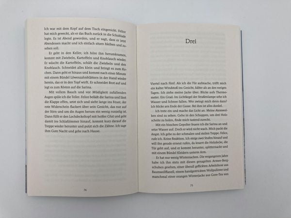 Produktbild: Tage mit Felice