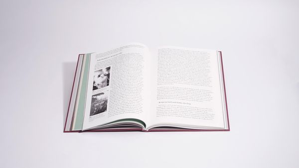 Produktbild: Odor. Immaterielle Skulpturen