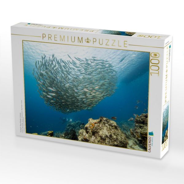 Produktbild: CALVENDO Puzzle Fischball - Playa Piskado - Cura&ccedil;ao | 1000 Teile Lege-Gr&ouml;&szlig;e 64x48cm Foto-Puzzle f&uuml;r gl&uuml;ckliche Stunden