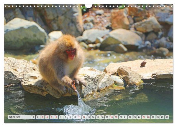 Produktbild: Japan das Land der aufgehenden Sonne (Wandkalender 2026 DIN A3 quer), CALVENDO Monatskalender