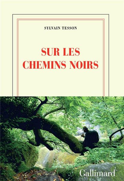 Produktbild: Tesson, S: Sur les chemins noirs