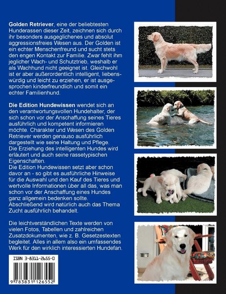 Produktbild: Golden Retriever