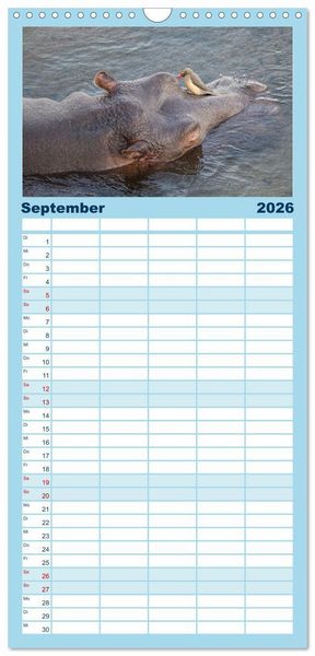 Produktbild: Familienplaner 2026 - Nilpferde, Kolosse in Afrika mit 5 Spalten (Wandkalender, 21 x 45 cm) CALVENDO