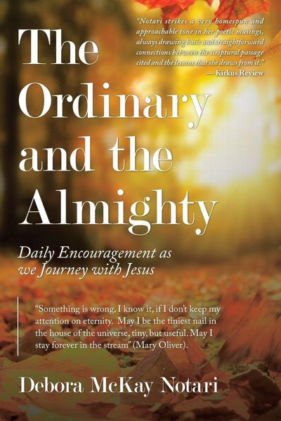Produktbild: The Ordinary and the Almighty