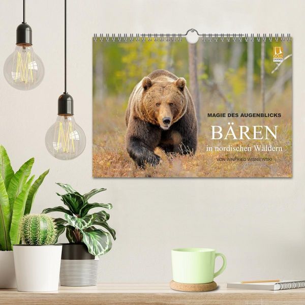 Produktbild: Magie des Augenblicks - B&auml;ren in nordischen W&auml;ldern (Wandkalender 2027 DIN A4 quer), CALVENDO Monatskalender