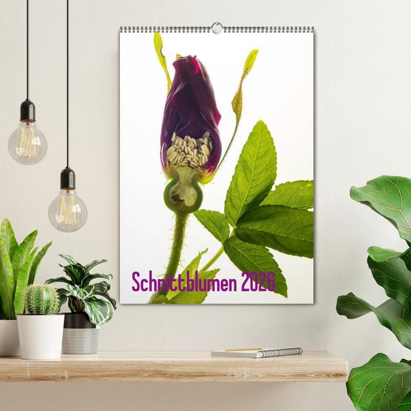 Produktbild: Schnittblumen 2026 (Wandkalender 2026 DIN A2 hoch), CALVENDO Monatskalender