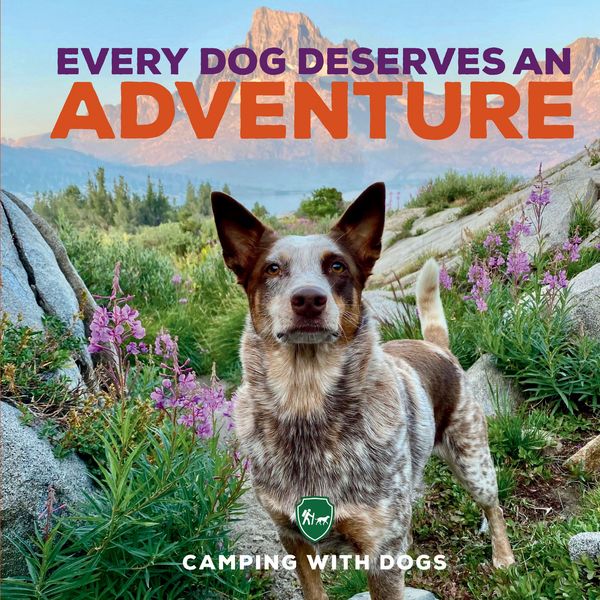 Produktbild: Every Dog Deserves an Adventure