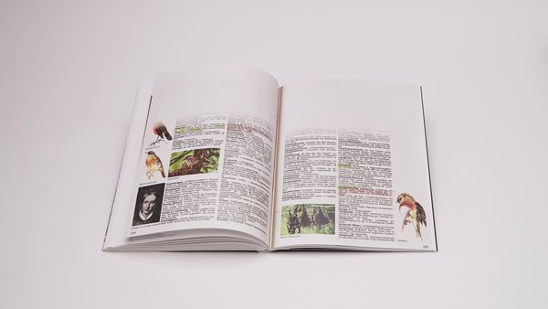 Produktbild: Philip Loersch &ndash; Pow - Portraitist Of Writing