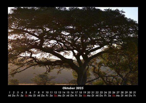 Produktbild: B&auml;ume 2025 Fotokalender DIN A3