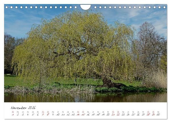 Produktbild: Alsteransichten in Hamburg (Wandkalender 2026 DIN A4 quer), CALVENDO Monatskalender