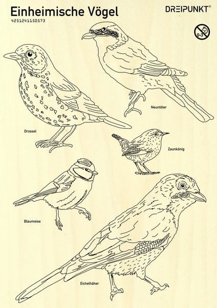 Produktbild: Laubs&auml;gevorlage Einheimische V&ouml;gel