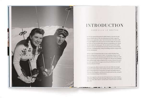Produktbild: The Stylish Life Skiing