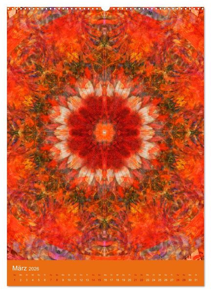 Produktbild: Meditative Pflanzenmandalas (hochwertiger Premium Wandkalender 2026 DIN A2 hoch), Kunstdruck in Hochglanz