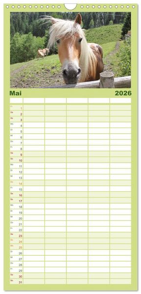 Produktbild: Familienplaner 2026 - Alpenpferde mit 5 Spalten (Wandkalender, 21 x 45 cm) CALVENDO