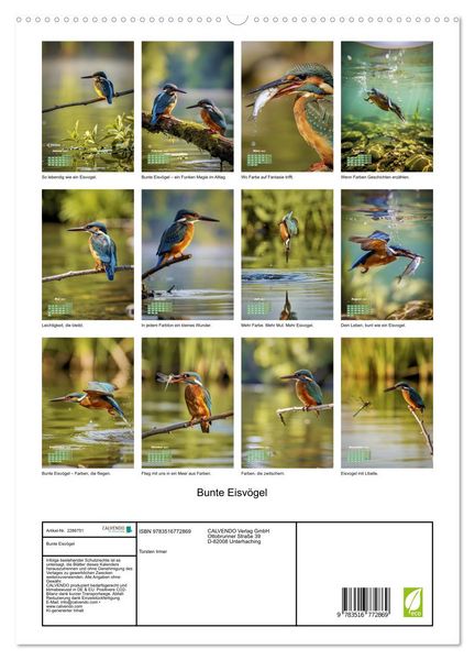Produktbild: Bunte Eisv&ouml;gel (hochwertiger Premium Wandkalender 2027 DIN A2 hoch), Kunstdruck in Hochglanz