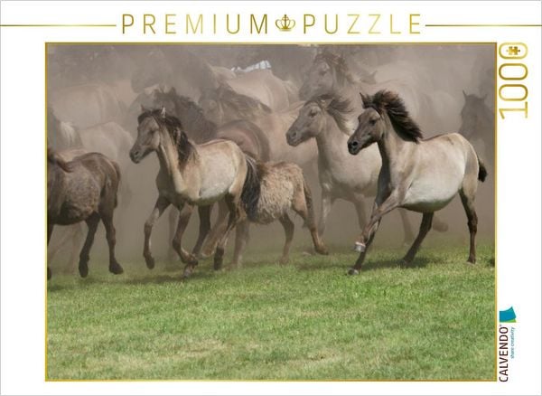 CALVENDO Puzzle Wildpferde beim Einlauf in die Arena | 1000 Teile Lege-Größe 64x48cm Foto-Puzzle für glückliche Stunden