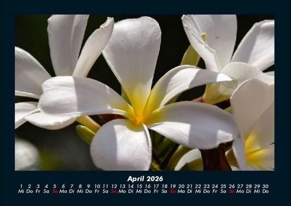 Produktbild: Indonesien 2026 Fotokalender DIN A4